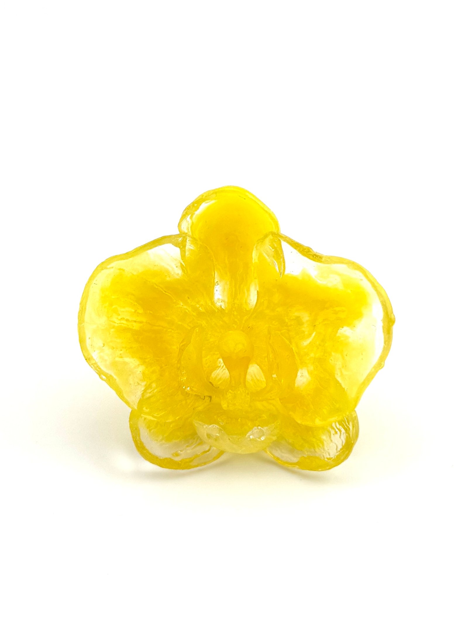 Anillo Orquídea Medusa amarillo