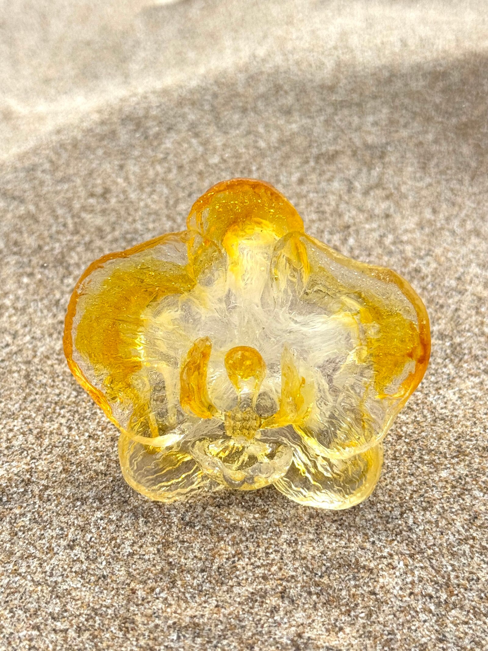 Anillo Orquídea atardecer 6