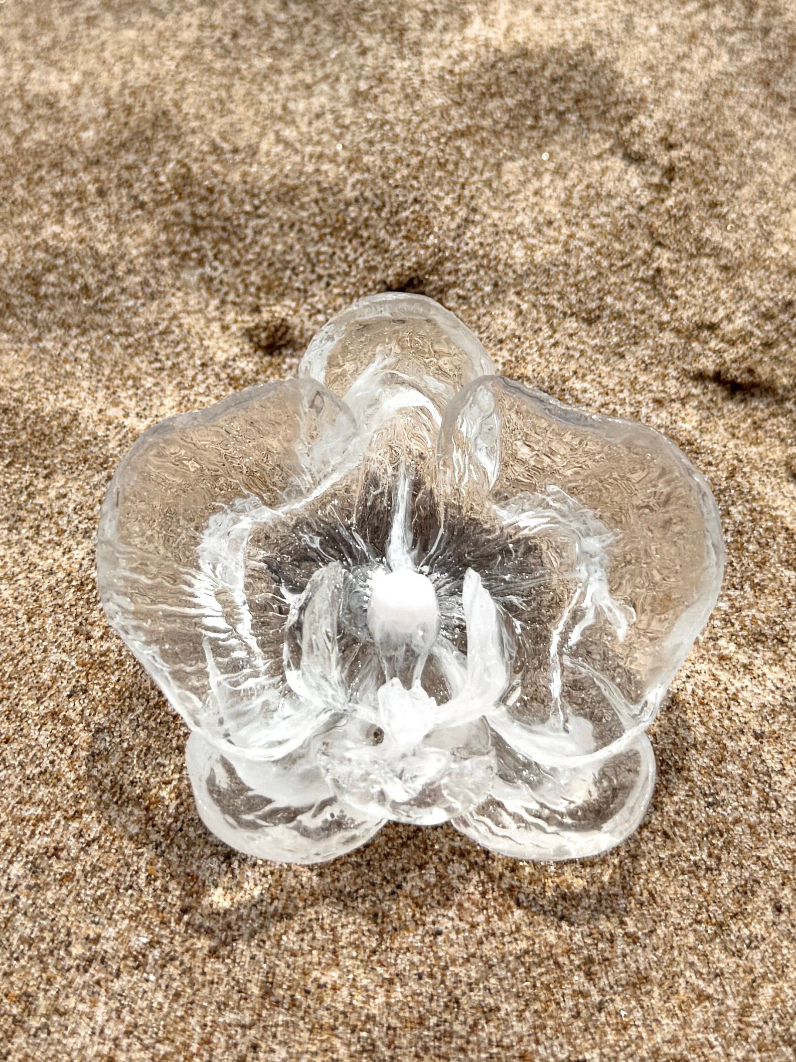 Anillo Orquídea Medusa Blanca