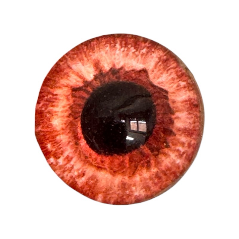 Anillo Ojo Red